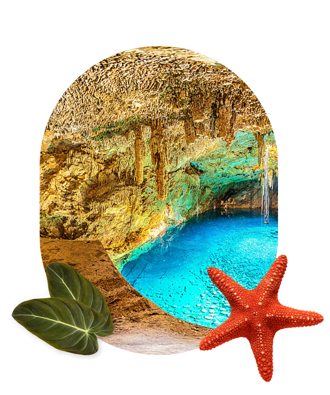 Cenotes